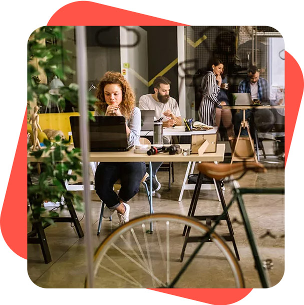 Professional Accounting software for creatives